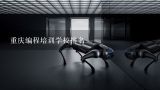 重庆编程培训学校排名,少儿机器人编程培训机构排名