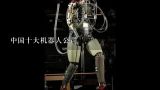 中国十大机器人公司,扫地机器人哪个品牌好？