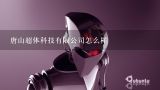 唐山超体科技有限公司怎么样,中国机器人公司排名是怎样的？