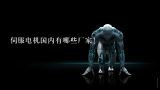 伺服电机国内有哪些厂家！,中国十大工业机器人公司排名
