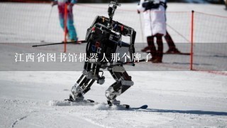 江西省图书馆机器人那个牌子