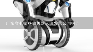 广东省有哪些做机器人研发的公司啊?