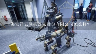 上海富洋云网机器人股份有限公司怎么样？