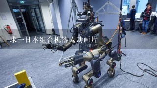 求1日本组合机器人动画片