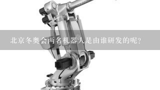 北京冬奥会两名机器人是由谁研发的呢？