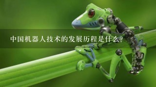 中国机器人技术的发展历程是什么？