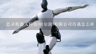 思灵机器人科技(哈尔滨)有限公司待遇怎么样