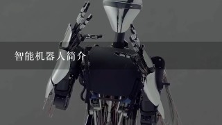 智能机器人简介
