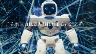 广东智驱力机器人科技有限公司怎么样？