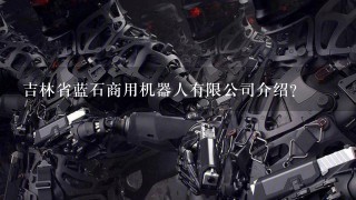 吉林省蓝石商用机器人有限公司介绍？