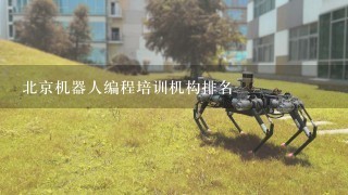 北京机器人编程培训机构排名