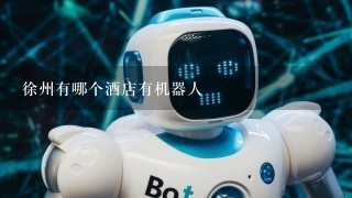 徐州有哪个酒店有机器人