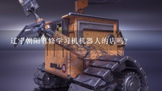 辽宁朝阳有修学习机机器人的店吗？