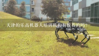 天津的乐高机器人培训机构有推荐的吗？