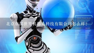 北京东部世界机器人科技有限公司怎么样？