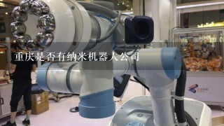 重庆是否有纳米机器人公司