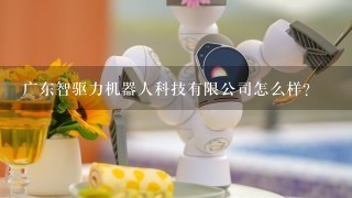 广东智驱力机器人科技有限公司怎么样？