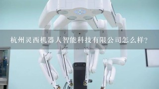 杭州灵西机器人智能科技有限公司怎么样？
