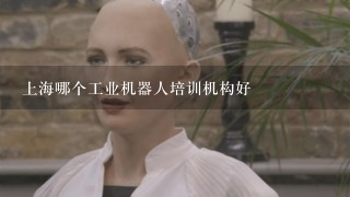 上海哪个工业机器人培训机构好