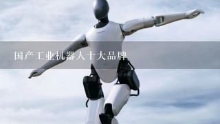 国产工业机器人十大品牌
