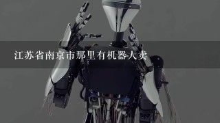 江苏省南京市那里有机器人卖