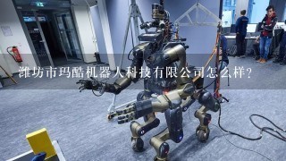 潍坊市玛酷机器人科技有限公司怎么样？