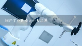 国产工业机器人十大品牌