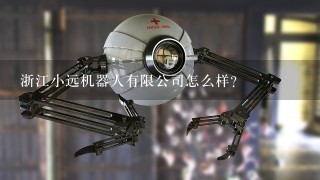 浙江小远机器人有限公司怎么样？