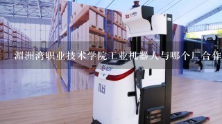 湄洲湾职业技术学院工业机器人与哪个厂合作