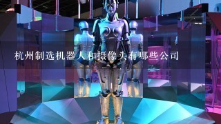 杭州制选机器人和摄像头有哪些公司