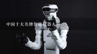 中国十大名牌智能机器人